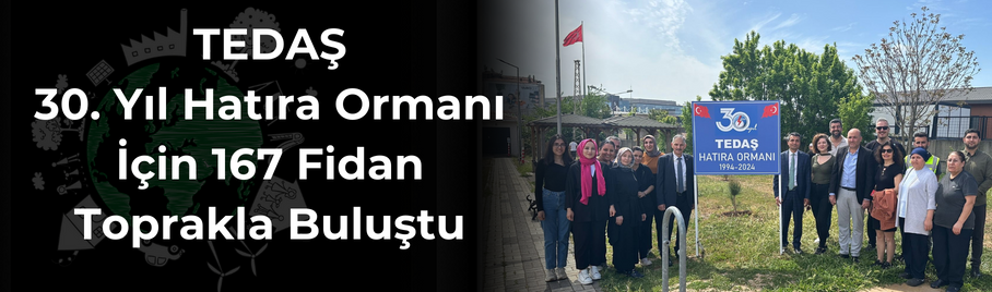 TEDAŞ 30. Yıl Hatıra Ormanı İstanbul Uluslararası Eğitim ve Sertifikasyon Müdürlüğü Uygulama Arazisinde Can Buldu